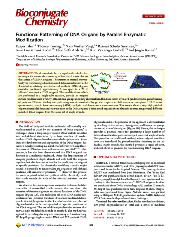 (PDF) Functional Patterning of DNA Origami by Parallel Enzymatic ...