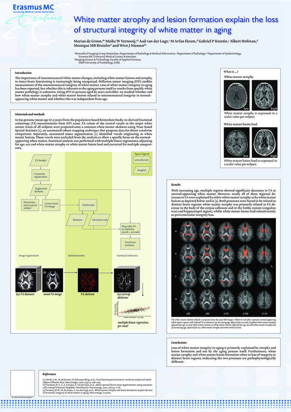 (PDF) White matter atrophy and lesion formation explain the loss of ...