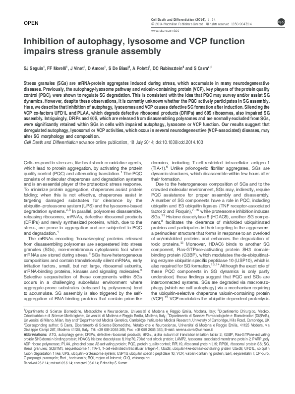 (PDF) Inhibition of autophagy, lysosome and VCP function impairs stress ...