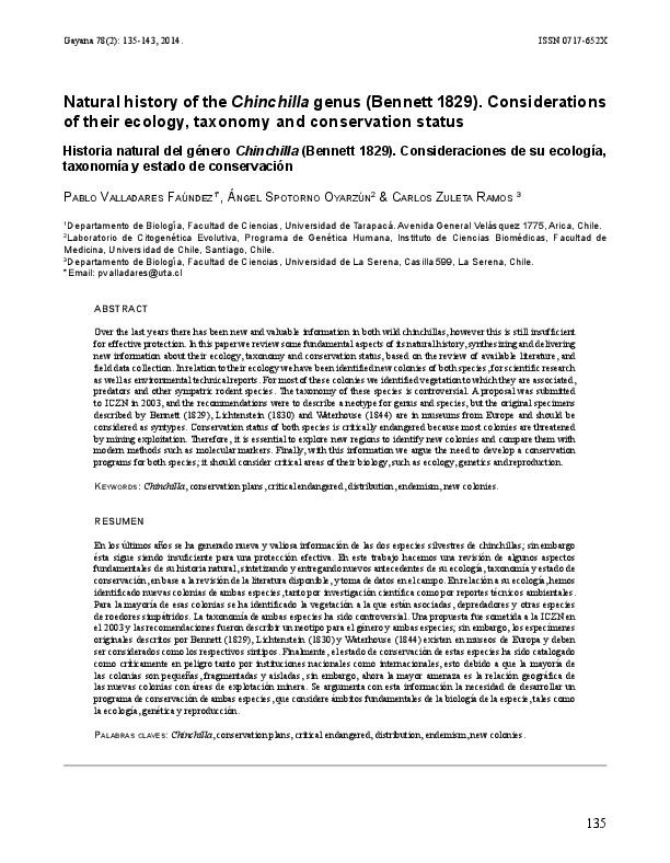 Chinchilla mountain picture