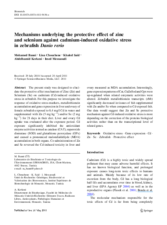 (PDF) Mechanisms underlying the protective effect of zinc and selenium ...