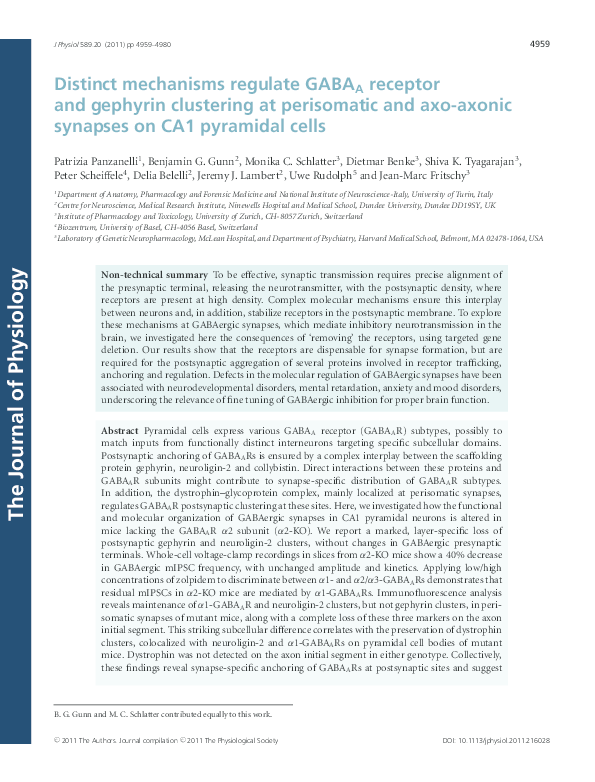 (PDF) Distinct mechanisms regulate GABAA receptor and gephyrin ...