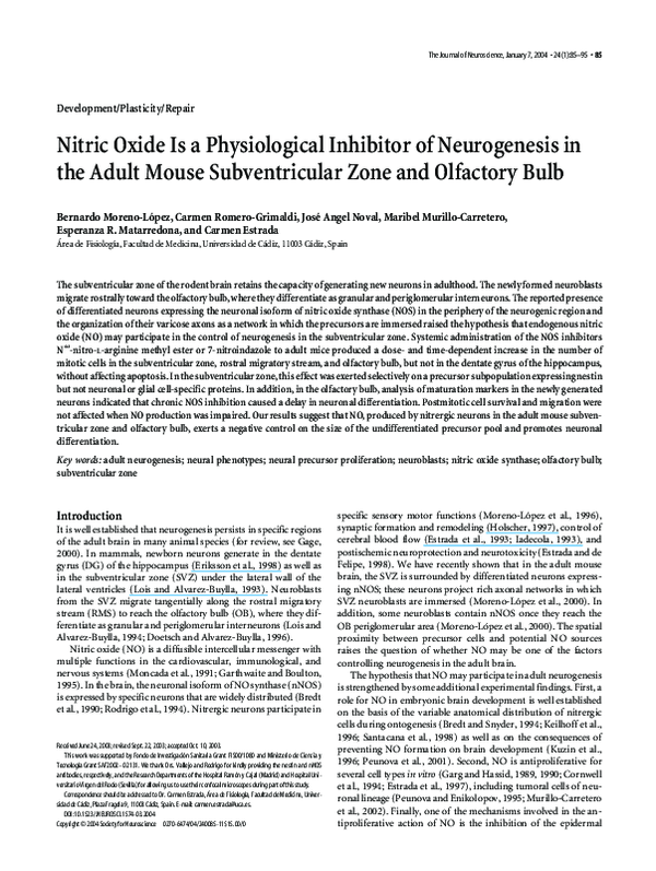 (PDF) Nitric Oxide Is a Physiological Inhibitor of Neurogenesis in the ...