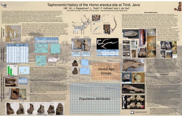 (PDF) Taphonomic history of the Homo erectus site at Trinil, Java