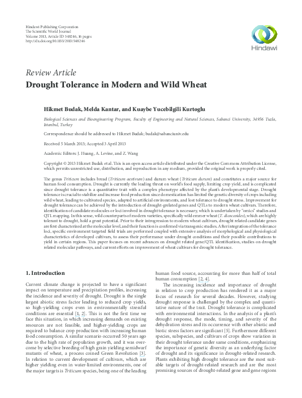 (PDF) Drought Tolerance in Modern and Wild Wheat