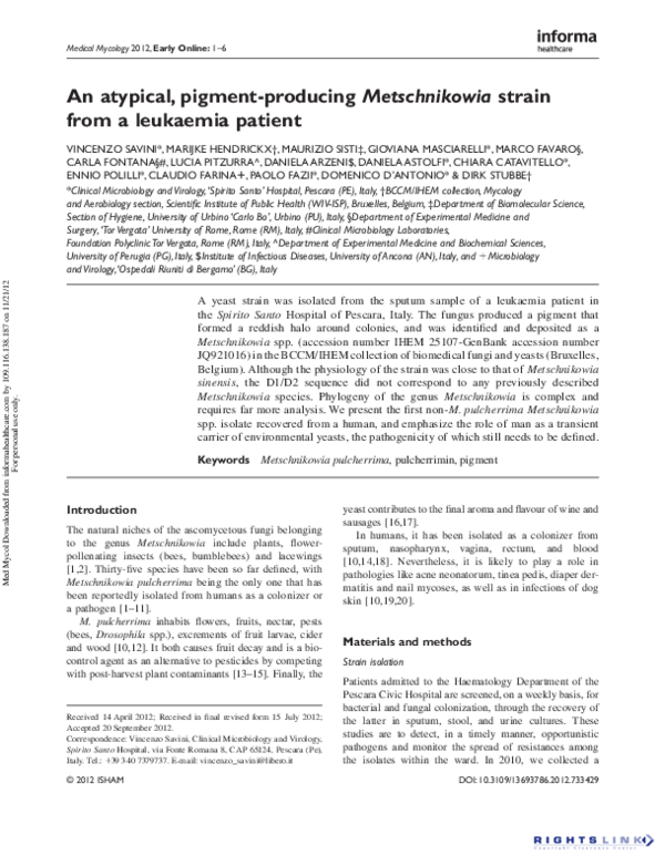 Atypical essay image