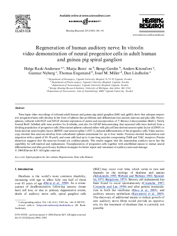 (PDF) Regeneration of human auditory nerve. In vitro/in video ...