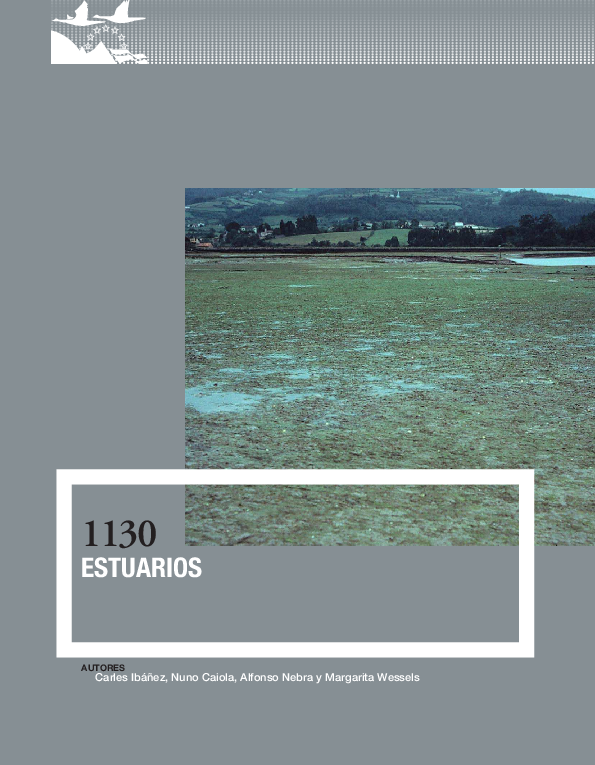 Pdf 1130 Estuarios En V V A A Bases Ecologicas Preliminares Para La Conservacion De Los Tipos De Habitat De Interes Comunitario En Espana Carles Ibanez Academia Edu