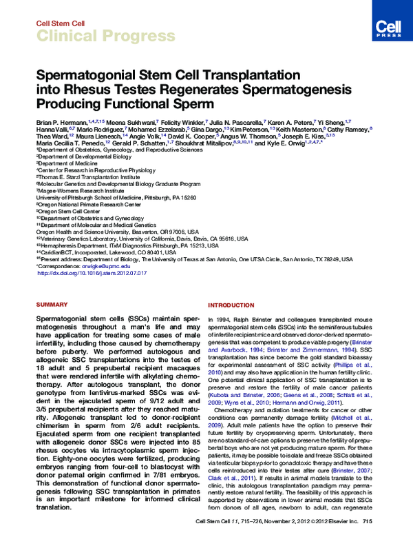(PDF) Spermatogonial Stem Cell Transplantation into Rhesus Testes ...