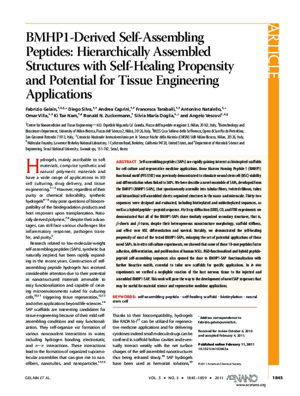 (PDF) BMHP1-Derived Self-Assembling Peptides: Hierarchically Assembled ...