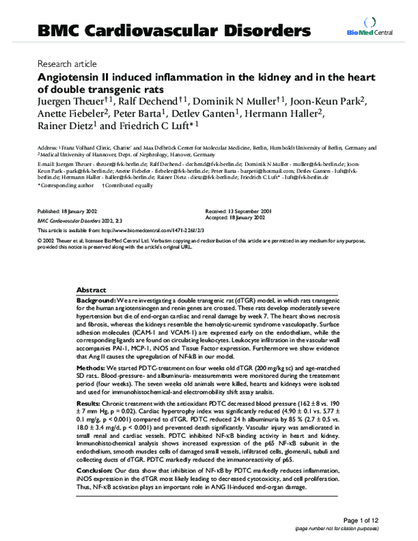 (PDF) Angiotensin II induced inflammation in the kidney and in the ...