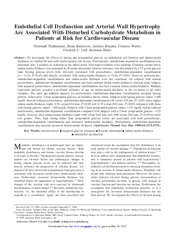 (PDF) Endothelial Cell Dysfunction and Arterial Wall Hypertrophy Are ...