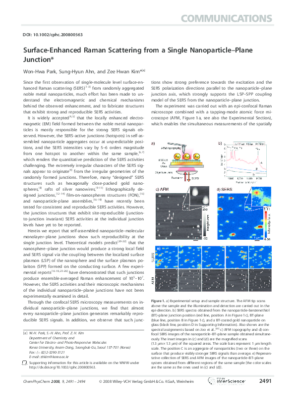 (PDF) Surface Enhanced Raman Scattering from Single CdS Nanowires and ...