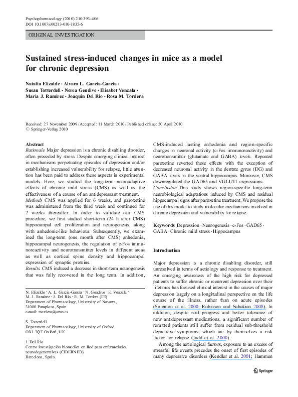 Chronic depression essay 08 image