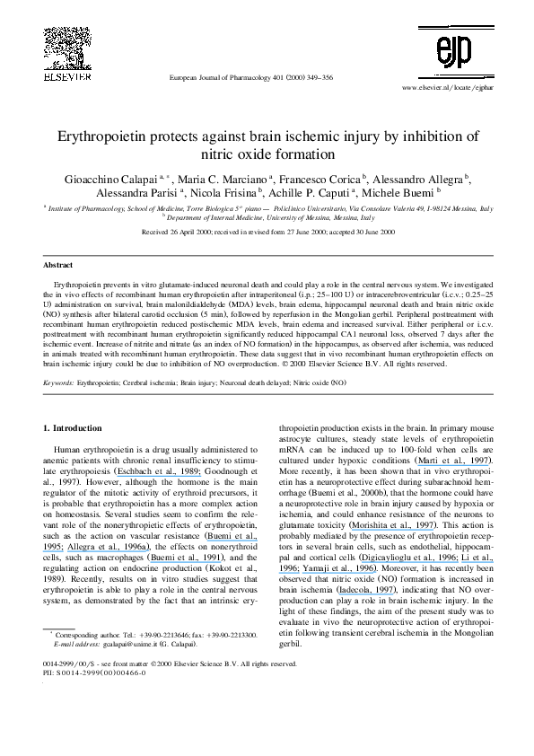 Erythropoiesis takes place in picture
