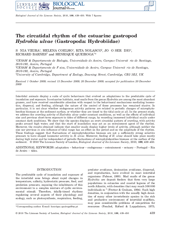 (PDF) The circatidal rhythm of the estuarine gastropod Hydrobia ulvae ...