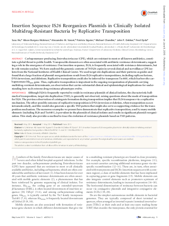 (PDF) Insertion Sequence IS26 Reorganizes Plasmids in Clinically ...