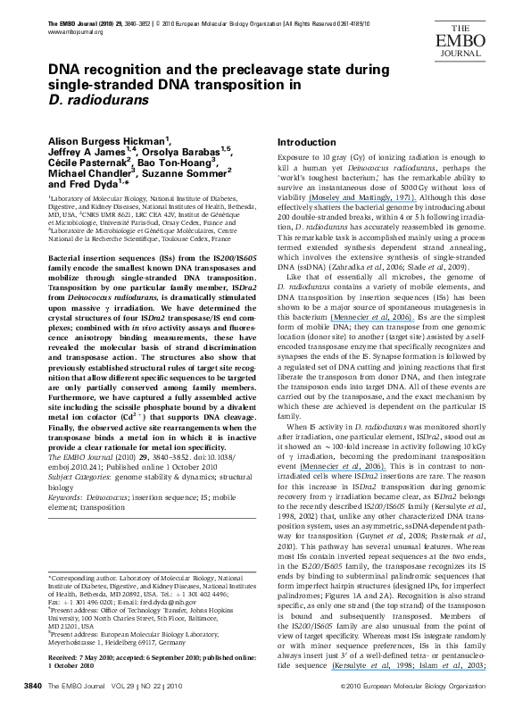 (PDF) DNA recognition and the precleavage state during single-stranded ...