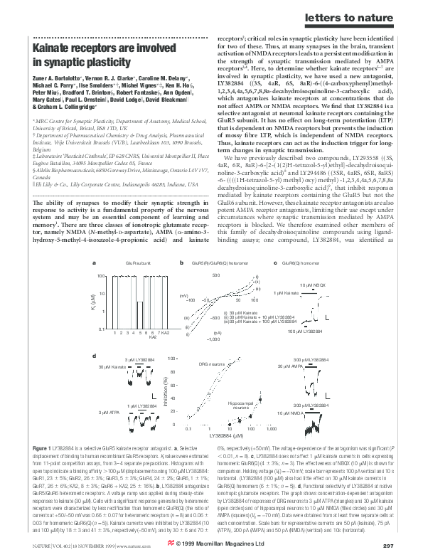 (PDF) Kainate receptors are involved in synaptic plasticity
