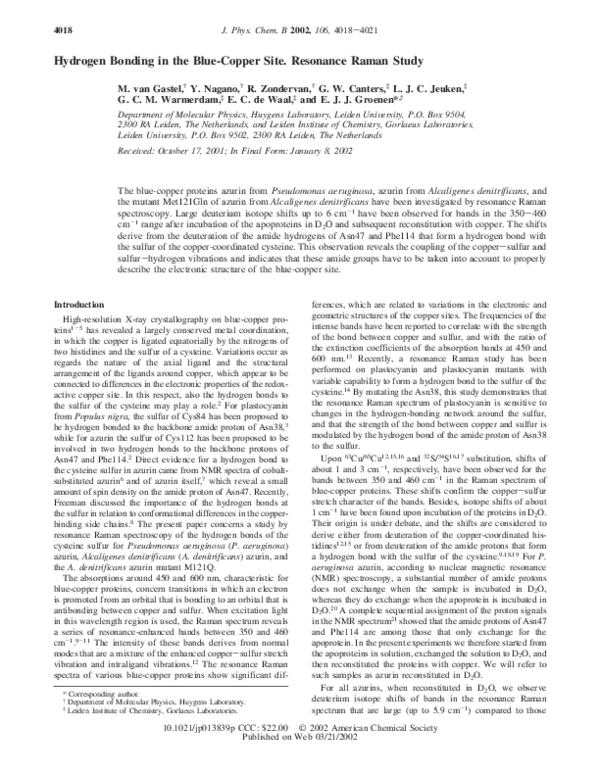 (PDF) Hydrogen Bonding in the Blue-Copper Site. Resonance Raman Study