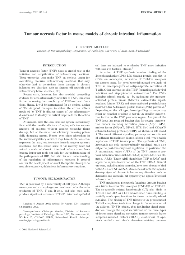 (PDF) Tumour necrosis factor in mouse models of chronic intestinal ...