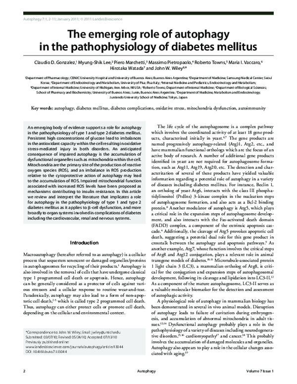(PDF) The emerging role of autophagy in the pathophysiology of diabetes ...