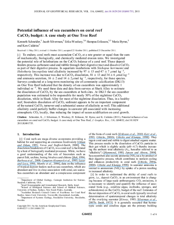 Are sea cucumbers kosher picture