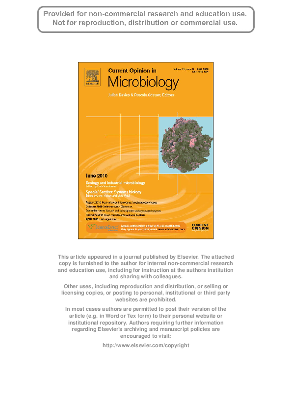 Thesis on biocatalysis 07 image