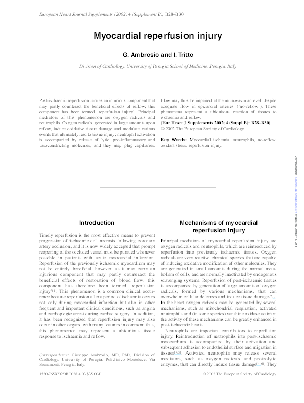 (PDF) Myocardial reperfusion injury: implications in clinical practice]