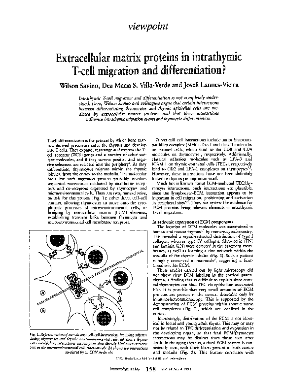 (PDF) Extracellular matrix proteins in intrathymic T-cell migration and ...