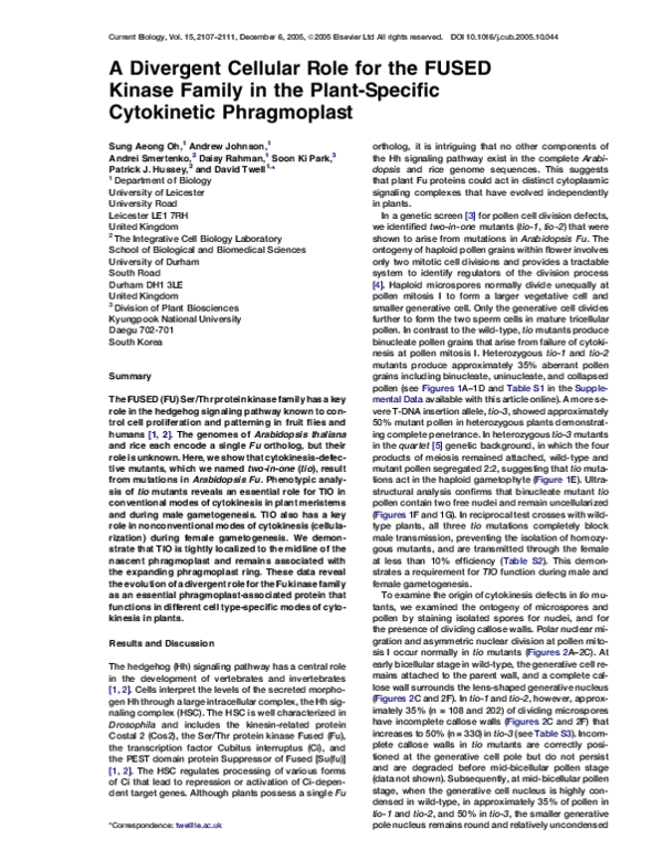 How does divergent relate to the real world image