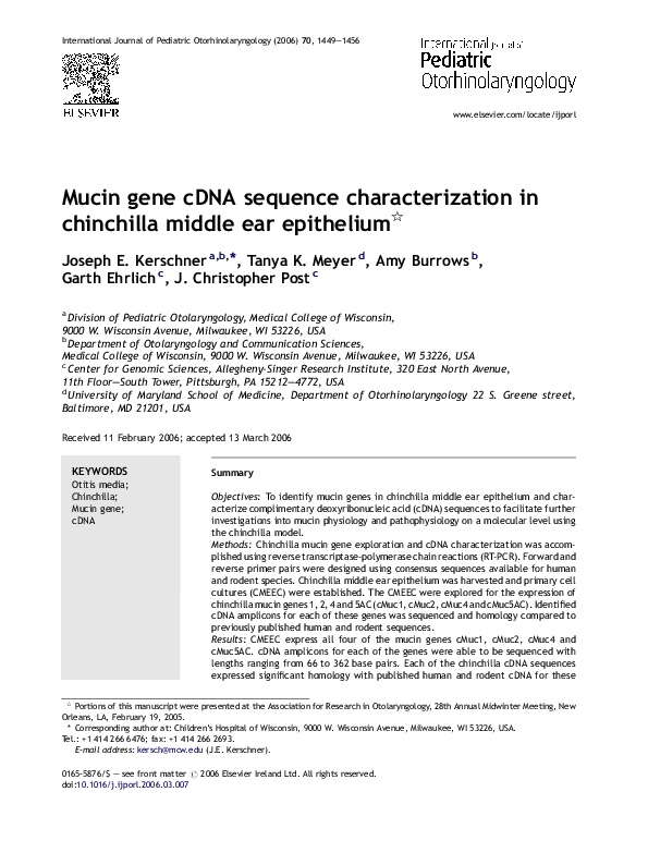 Chinchilla care picture