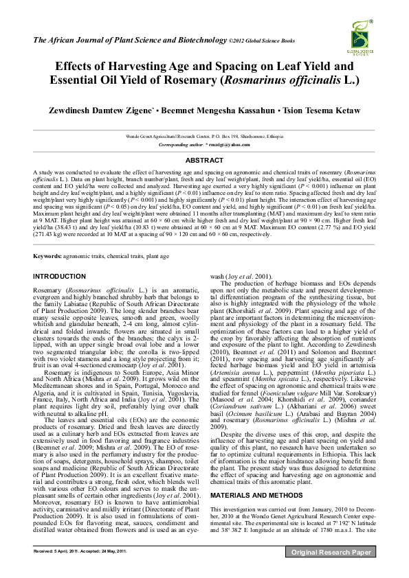 Effects of Harvesting Age and Spacing on Leaf Yield and Essential Oil