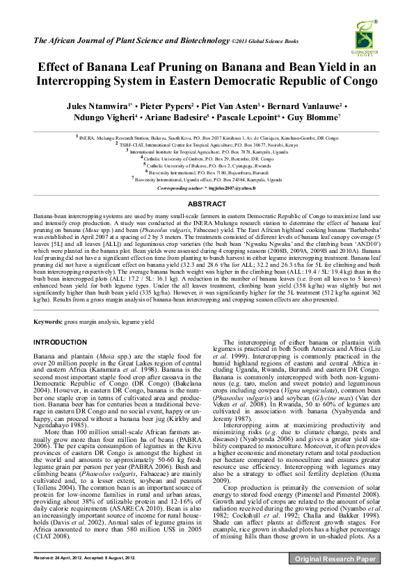Banana leaves medicinal uses picture