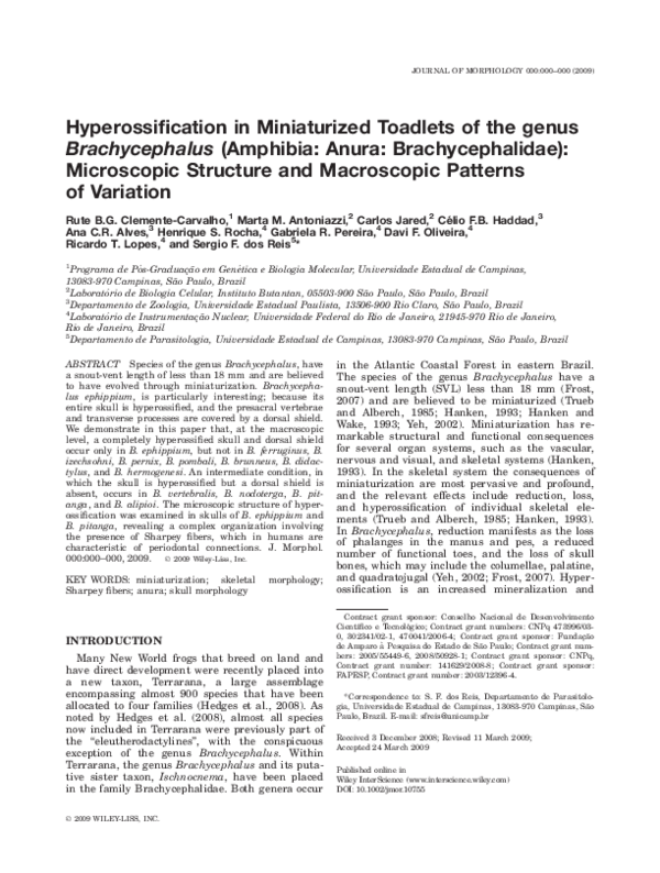 (PDF) Hyperossification in miniaturized toadlets of the genus ...