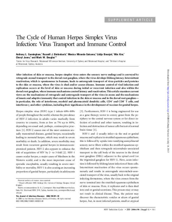 (PDF) The Cycle of Human Herpes Simplex Virus Infection: Virus ...