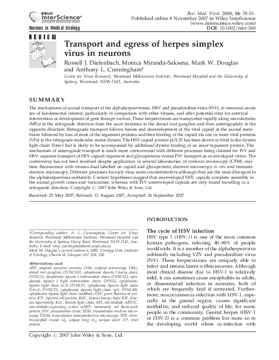 (PDF) Transport and egress of herpes simplex virus in neurons