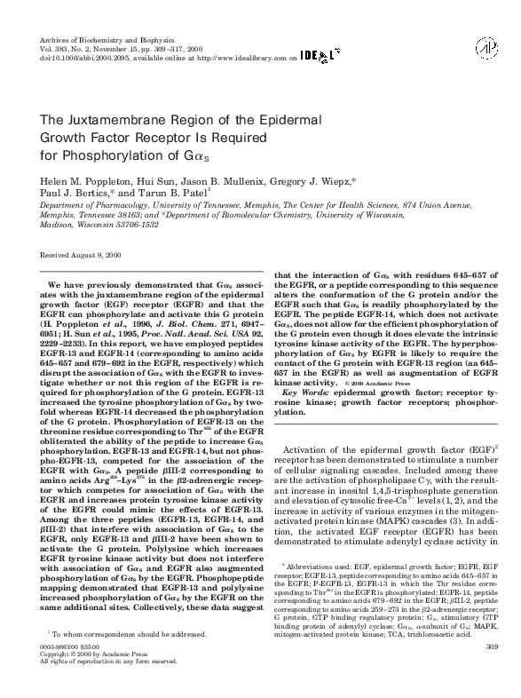 The Juxtamembrane Region of the Epidermal Growth Factor Receptor Is Required for Phosphorylation of GαS