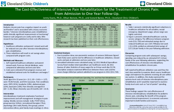 (PDF) The Cost Effectiveness of Intensive Pain Rehabilitation for the ...