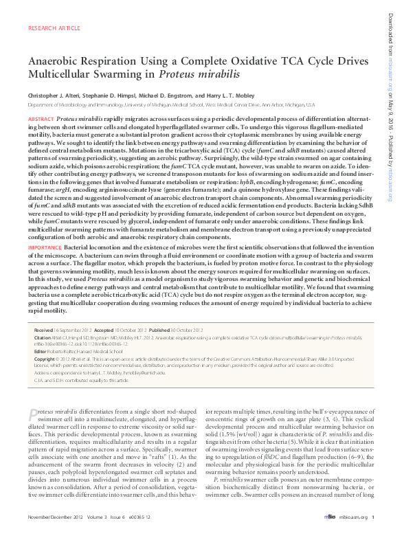 Proteus mirabilis essay 06 image