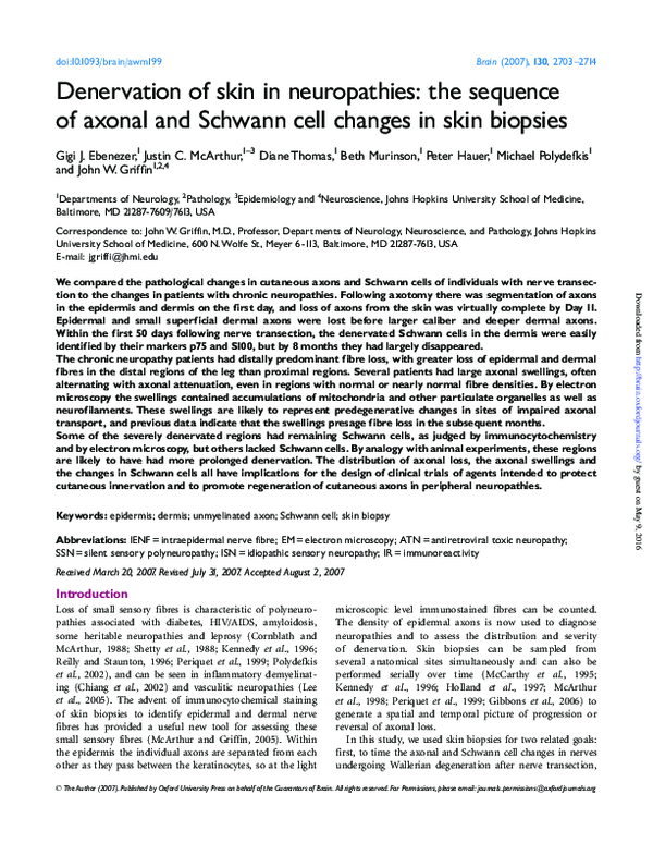 (PDF) Denervation of skin in neuropathies: the sequence of axonal and ...