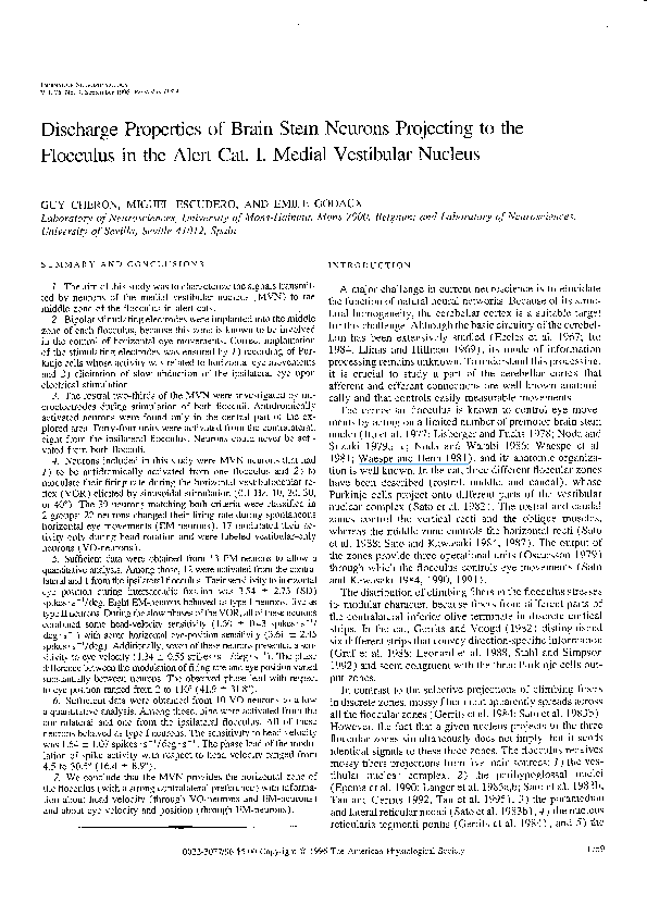 (PDF) Discharge properties of brain stem neurons projecting to the ...
