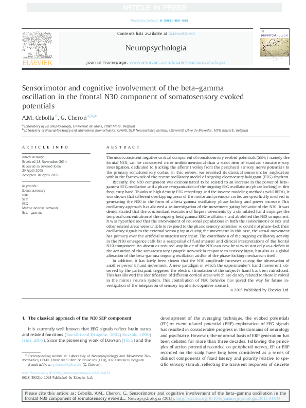 (PDF) Sensorimotor and Cognitive Involvement of the Beta-gamma ...