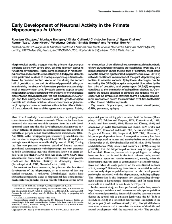 (PDF) Early Development of Neuronal Activity in the Primate ...