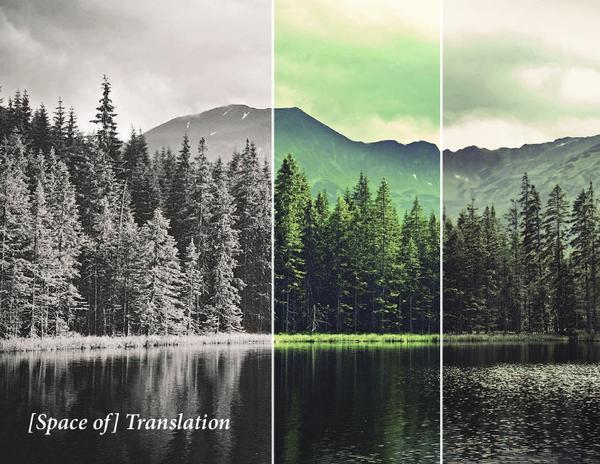 (PDF) Space of Translation