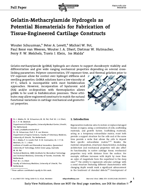 (PDF) Gelatin methacryloyl as environment for chondrocytes and cell ...