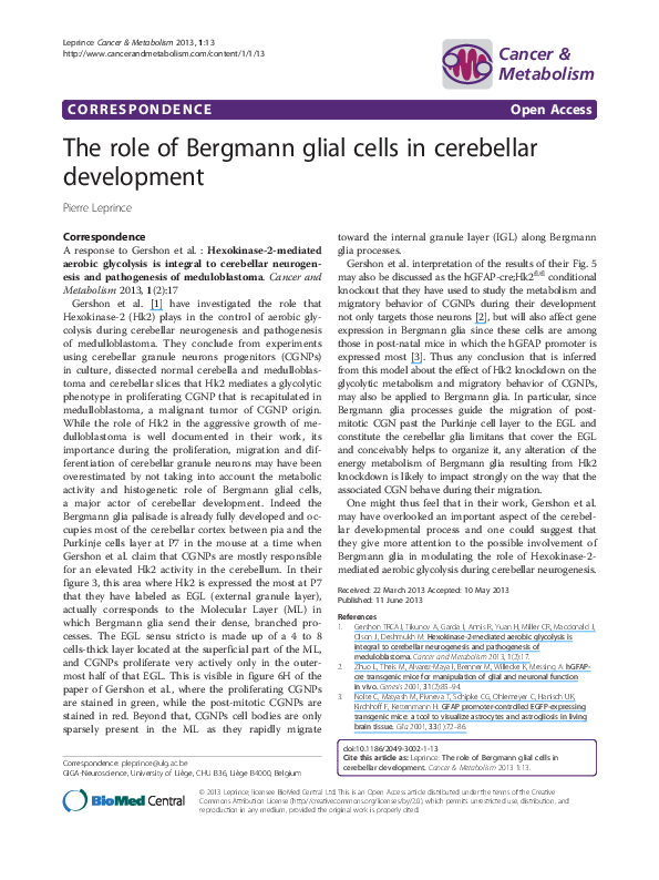 (PDF) The role of Bergmann glial cells in cerebellar development