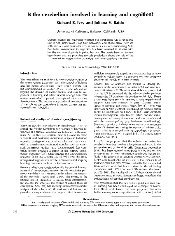 (PDF) Is the cerebellum involved in learning and cognition? Richard