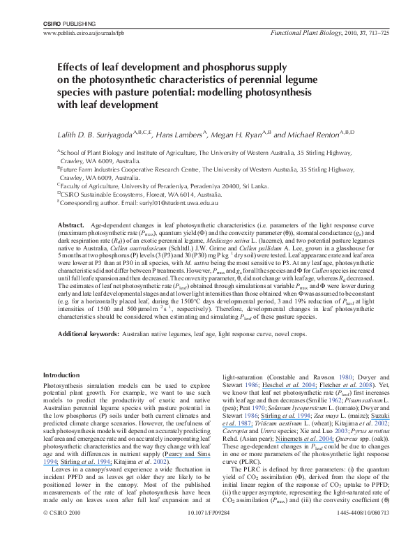 (PDF) Effects of leaf development and phosphorus supply on the ...