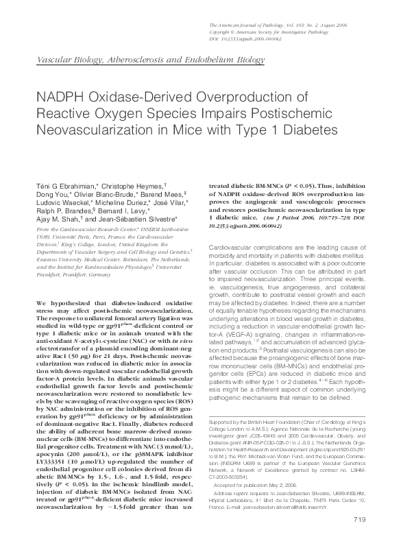 (PDF) NADPH Oxidase-Derived Overproduction of Reactive Oxygen Species ...